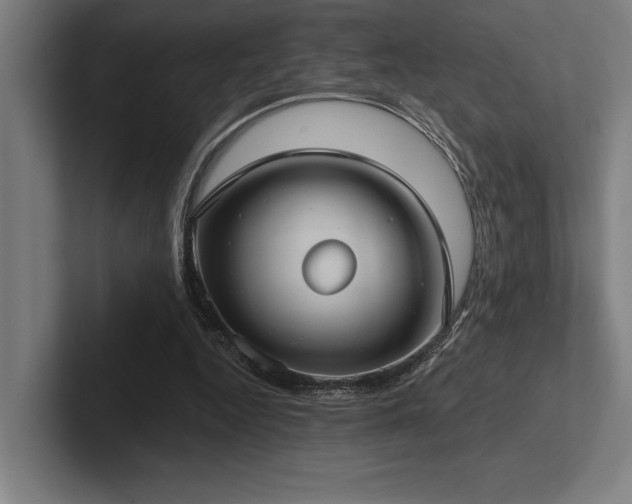 X0000102770344200808181134