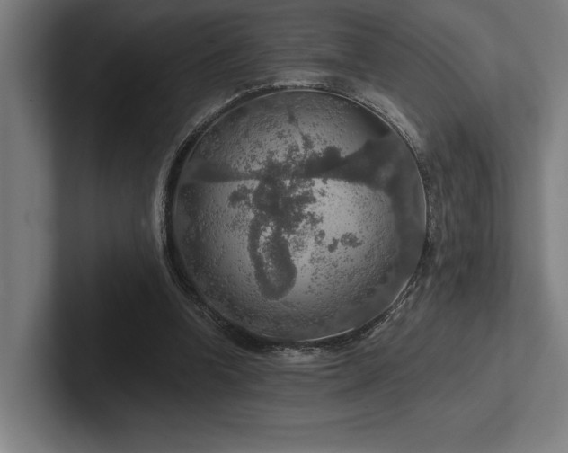 X0000102770346200808181134