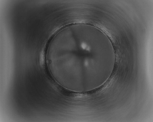 X0000102770347200808181134