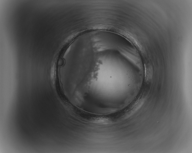 X0000102770348200808181134