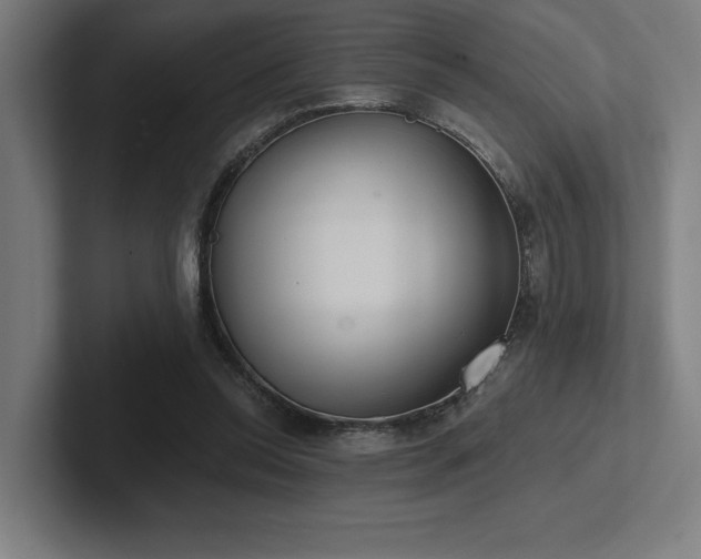 X0000102770350200808181134