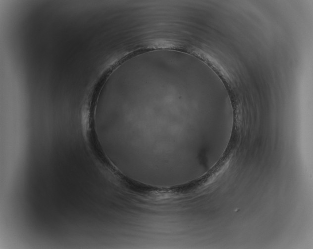 X0000102770351200808181134