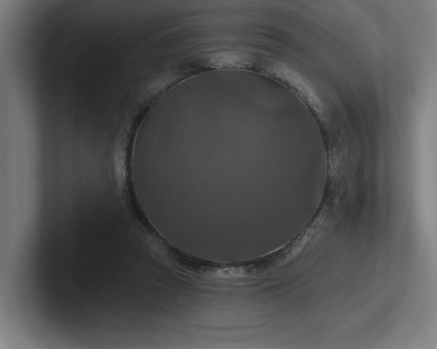 X0000102770353200808181134