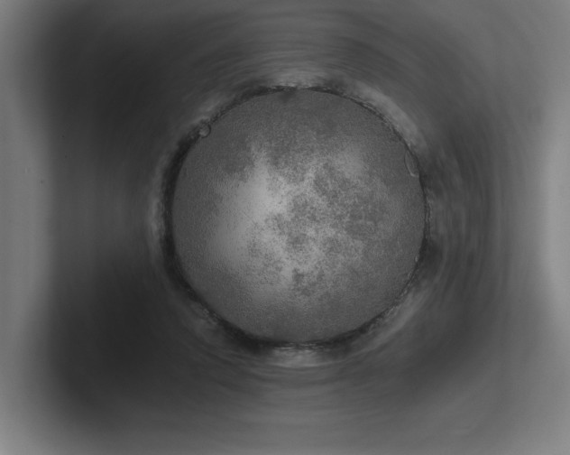 X0000102770354200808181134