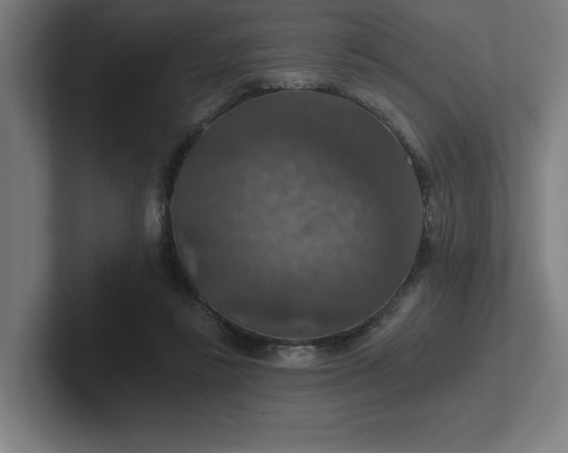 X0000102770355200808181134