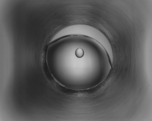 X0000102770356200808181134