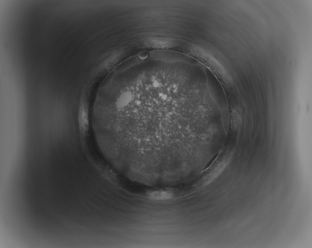 X0000102770358200808181134