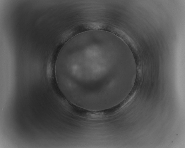 X0000102770359200808181134