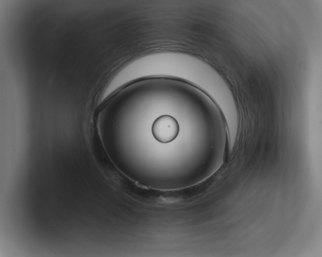 X0000102770360200808181134