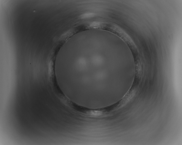 X0000102770361200808181134