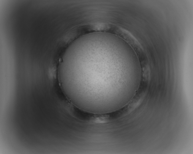 X0000102770368200808181134