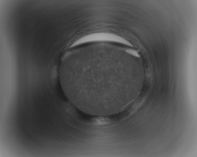 X0000102770372200808181134