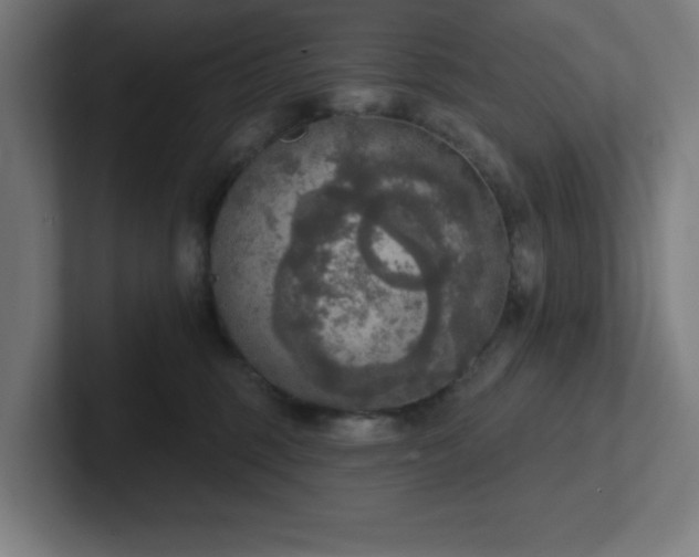 X0000102770375200808181134