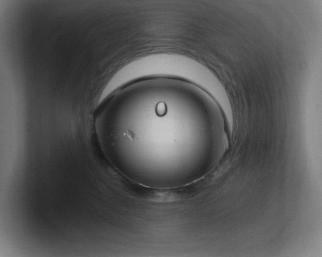 X0000102770376200808181134