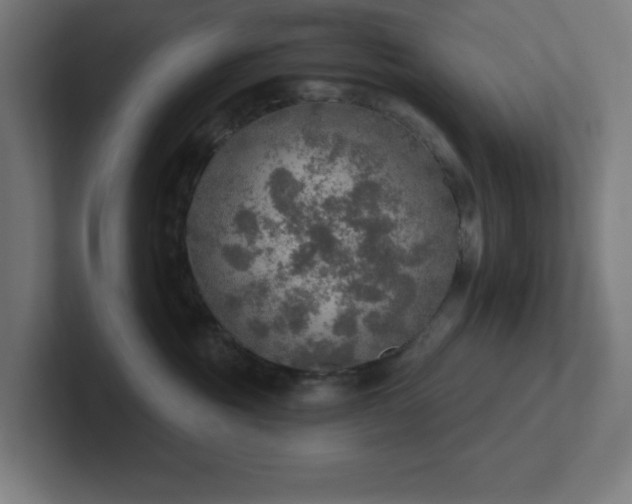 X0000102770381200808181134