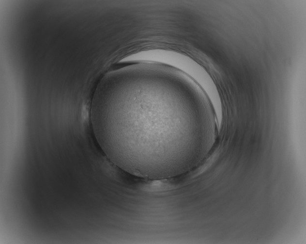 X0000102770382200808181134