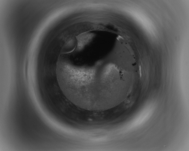 X0000102770383200808181134