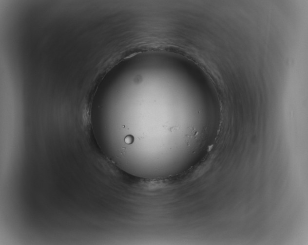 X0000102770384200808181134