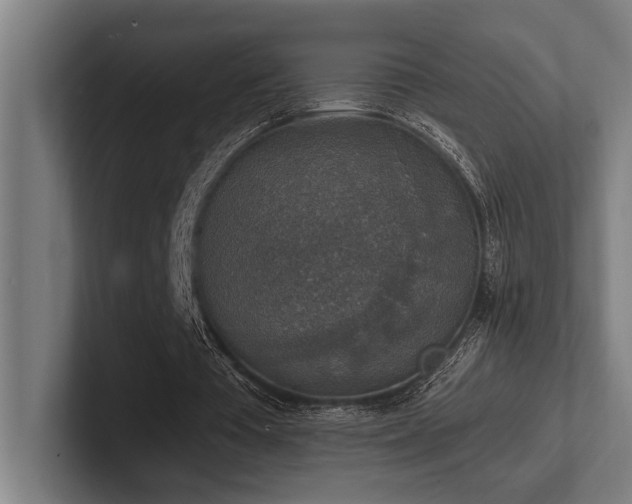 X0000102770385200808181134