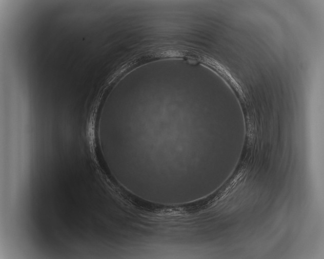 X0000102770386200808181134