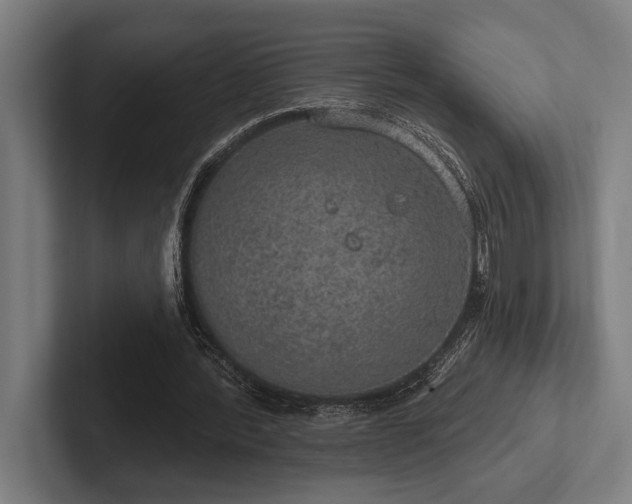 X0000102770388200808181134