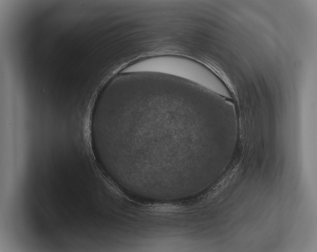 X0000102770389200808181134