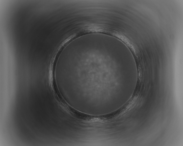 X0000102770390200808181134