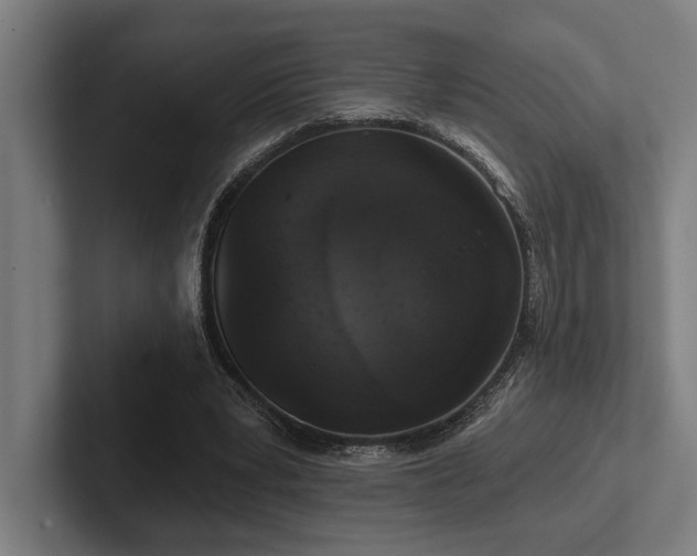 X0000102770391200808181134