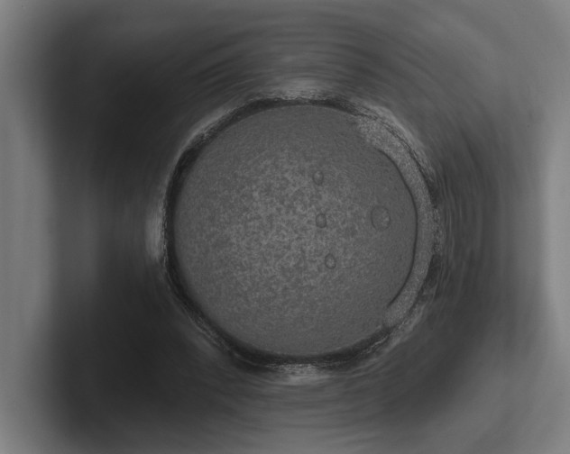 X0000102770392200808181134