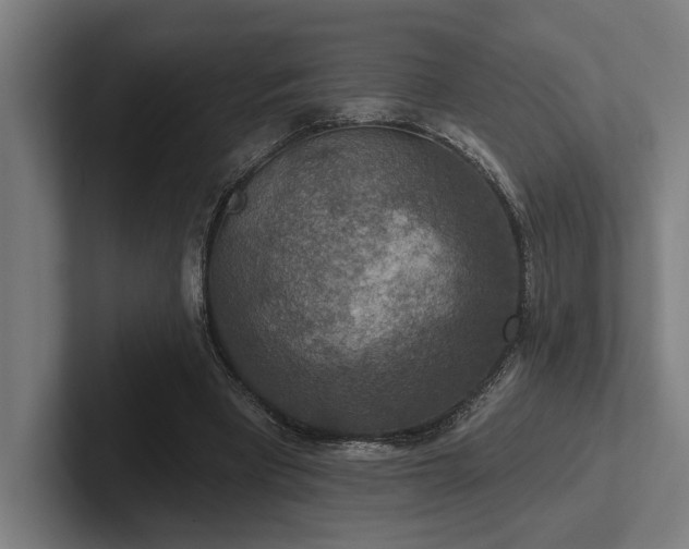 X0000102770393200808181133