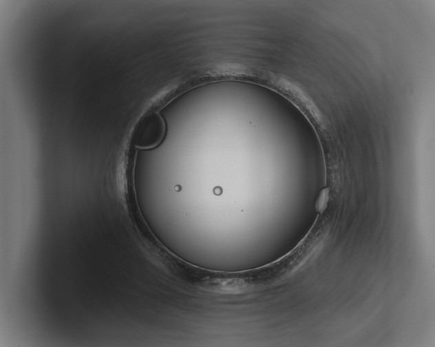 X0000102770395200808181133