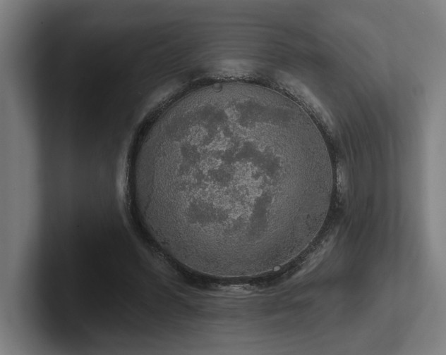 X0000102770396200808181133