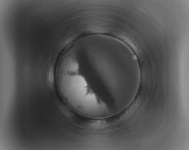 X0000102770398200808181133