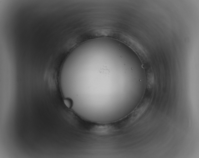 X0000102770414200808181133