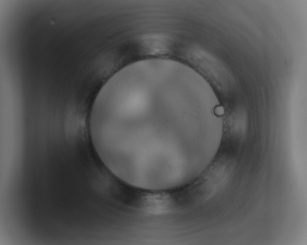 X0000102770415200808181133