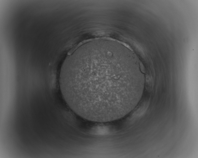 X0000102770416200808181133