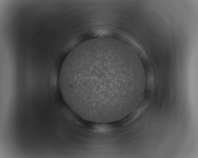 X0000102770417200808181133