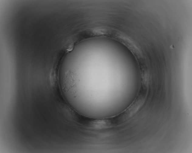 X0000102770418200808181133