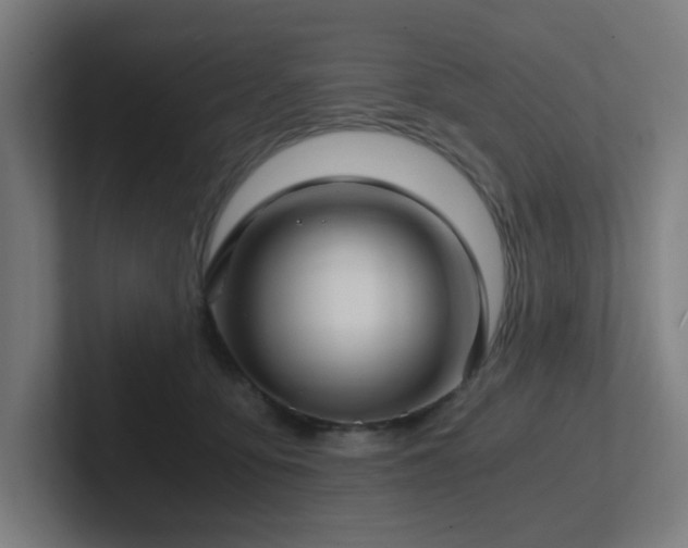 X0000102770419200808181133