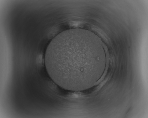 X0000102770420200808181133