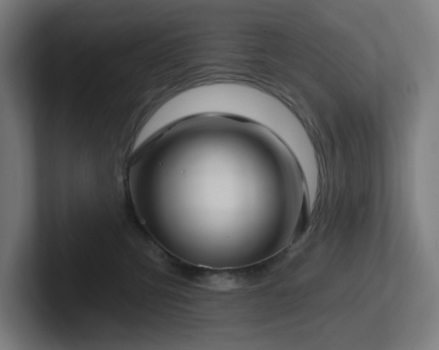 X0000102770423200808181133