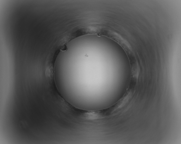 X0000102770425200808181133