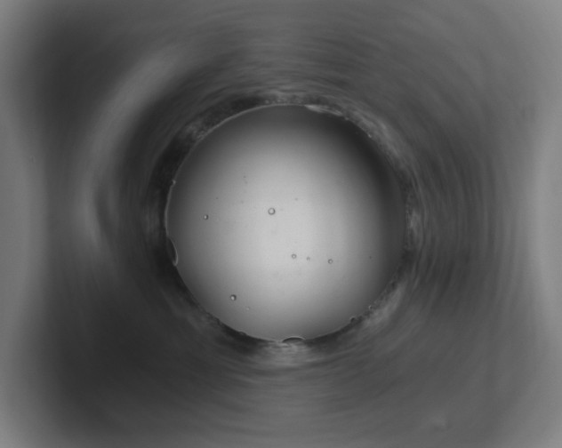 X0000102770429200808181133