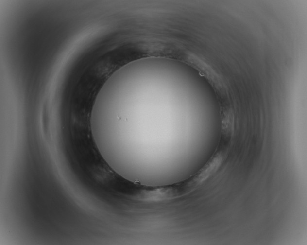 X0000102770430200808181133