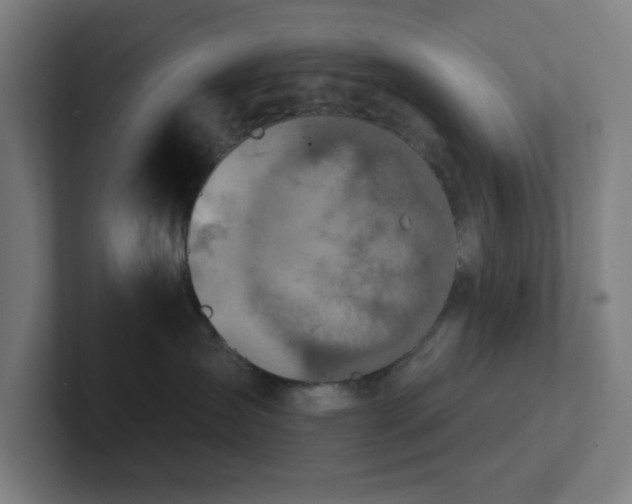 X0000102770431200808181133