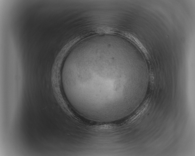 X0000102770433200808181132