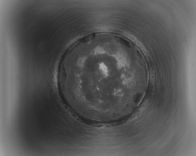 X0000102770434200808181132