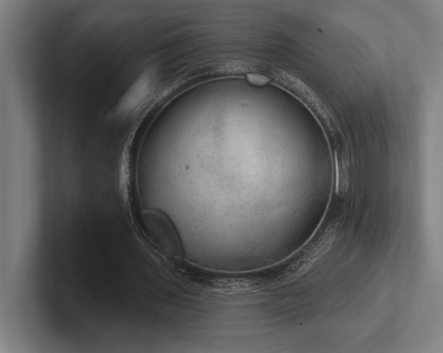 X0000102770435200808181132