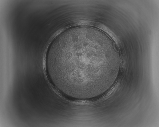 X0000102770437200808181132