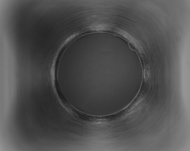 X0000102770438200808181132